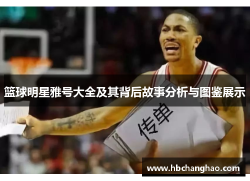 篮球明星雅号大全及其背后故事分析与图鉴展示